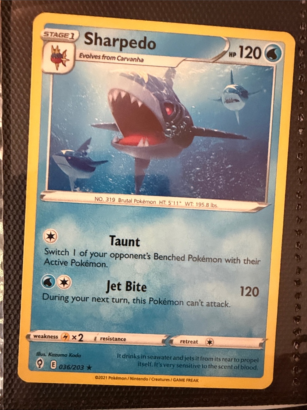 Pokemon Sharpedo Trading Card - Blue & Yellow - evolving skies